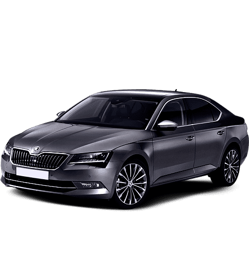 Раскраска Шкода