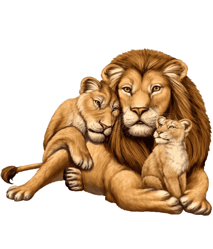 Раскраска Животные и их детеныши