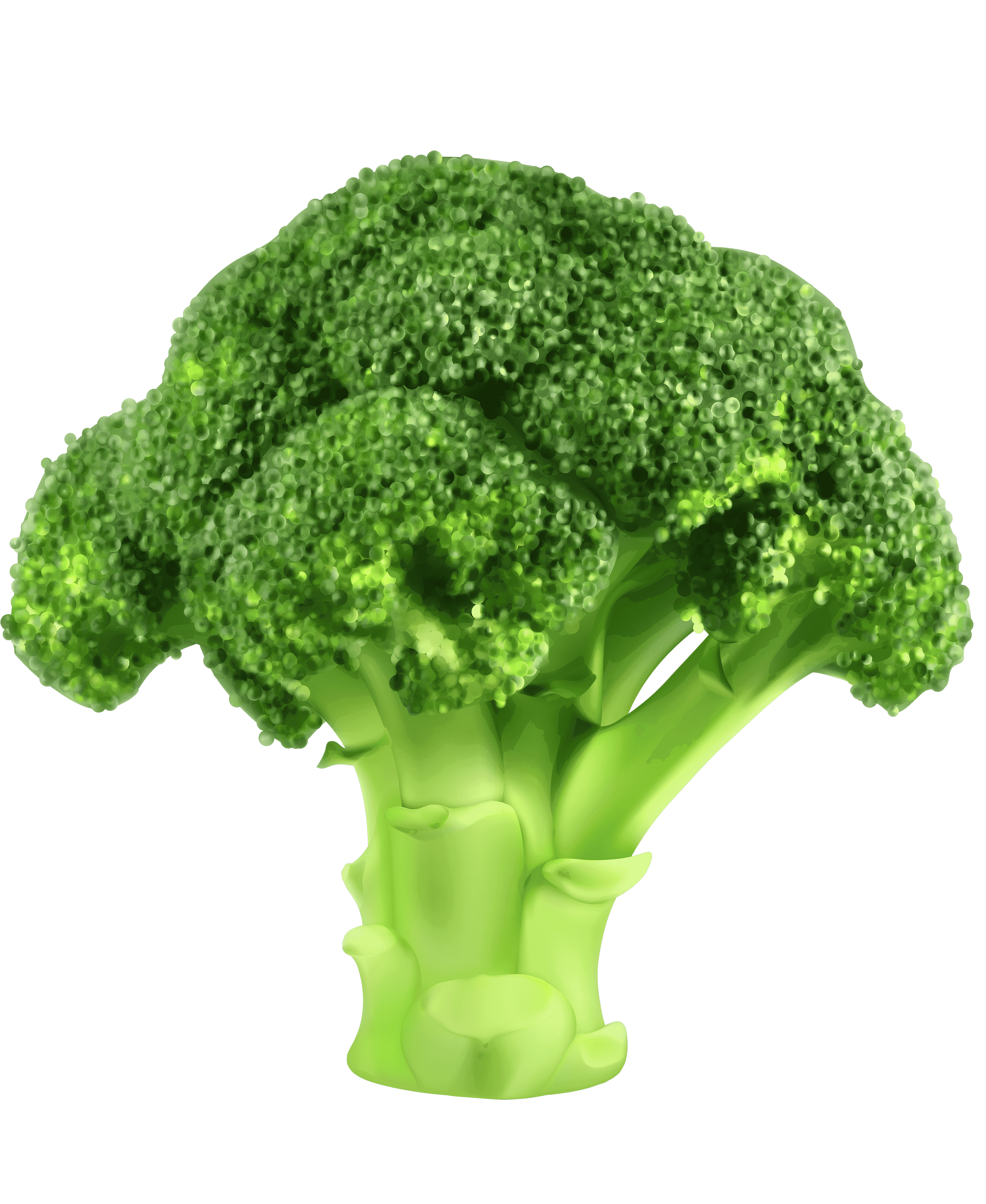 Раскраска Брокколи
