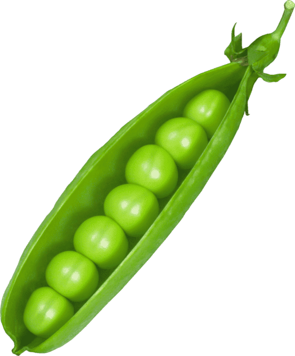 Раскраска Горох
