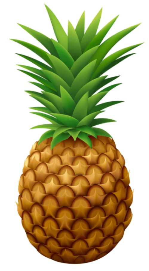 Раскраска Ананас