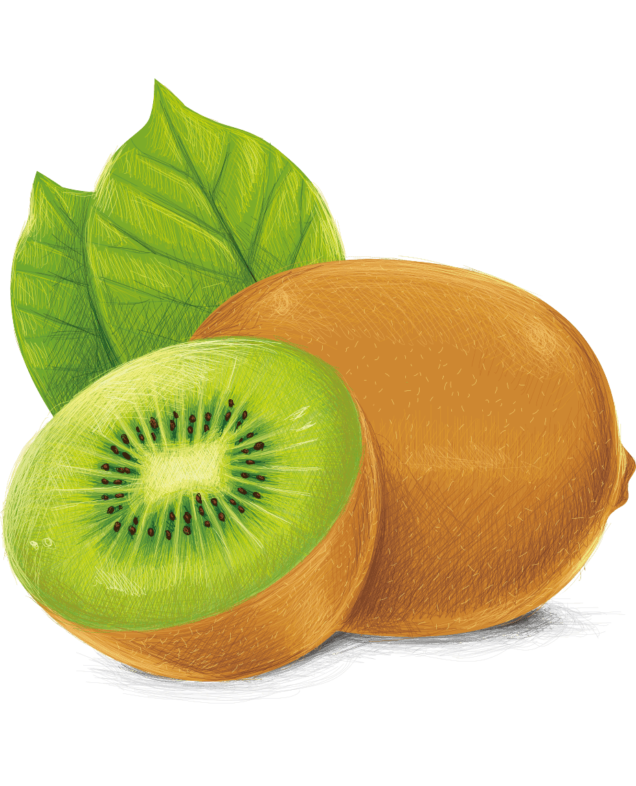 Раскраска Киви