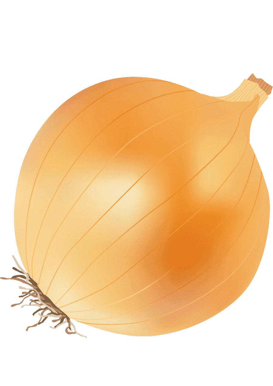 Раскраска Лук