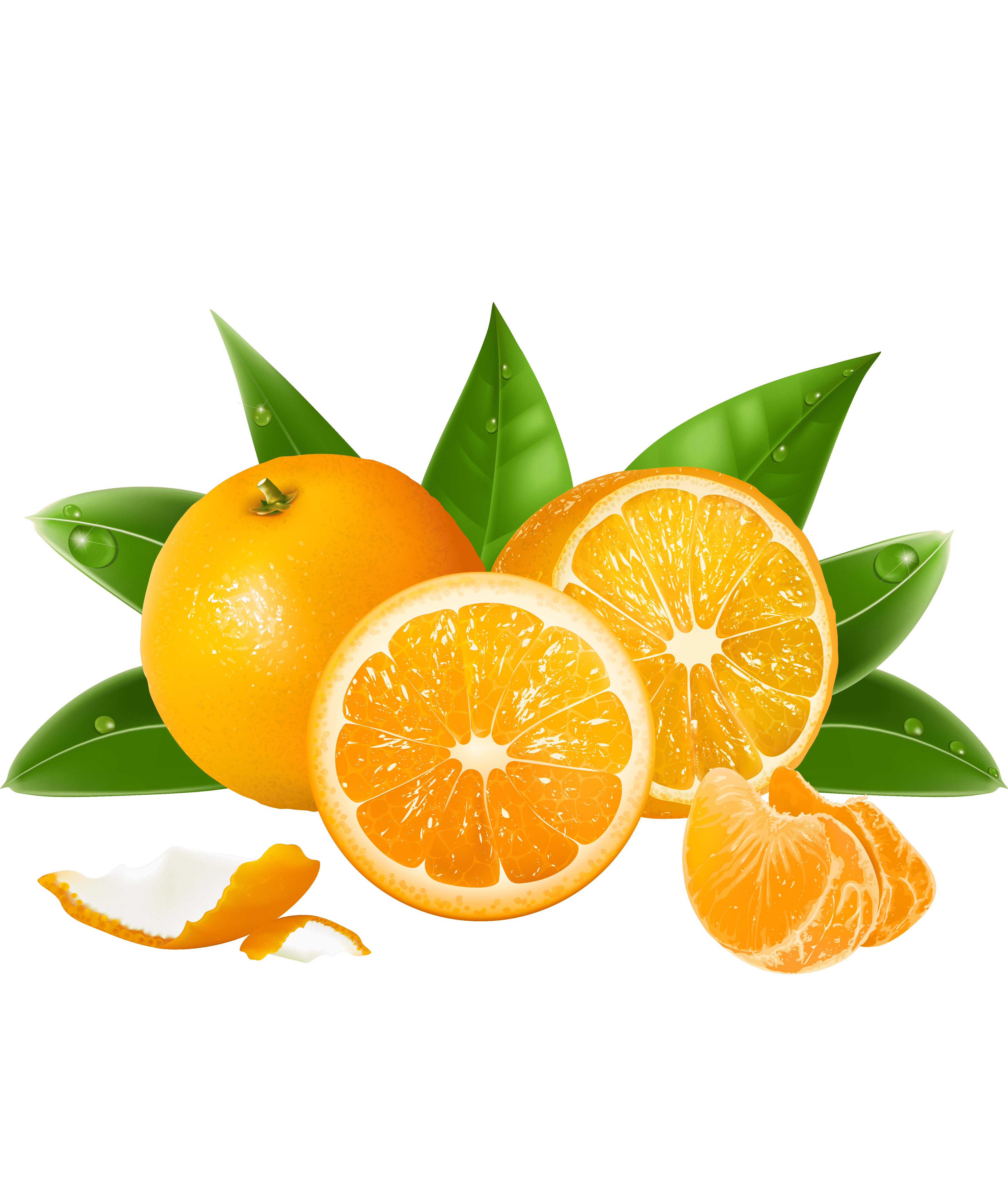 Раскраска Мандарин