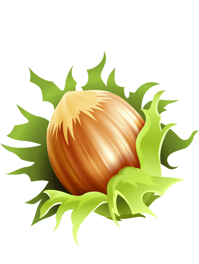 Раскраска Орехи