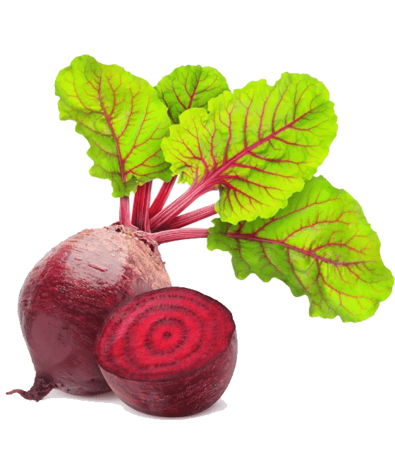 Раскраска Свекла