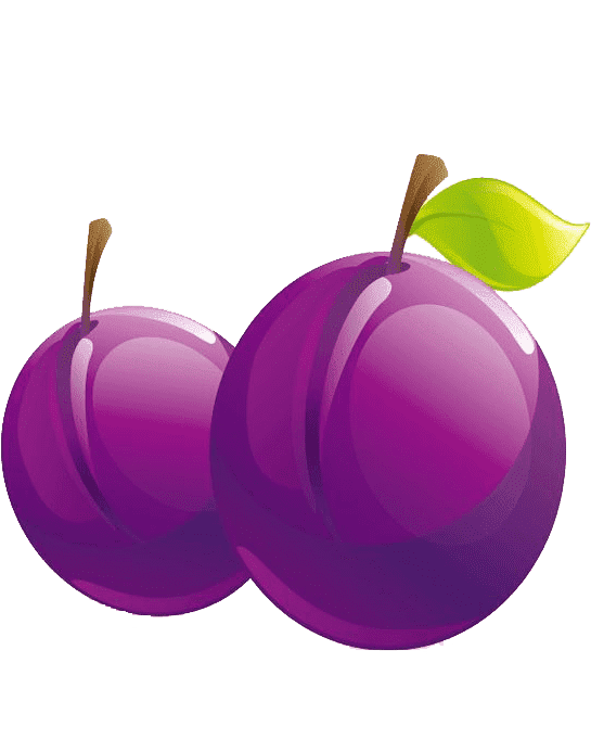 Раскраска Слива