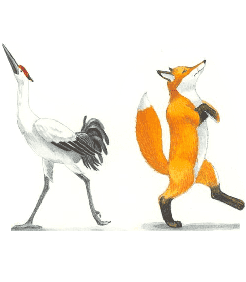 Раскраска Лиса и журавль