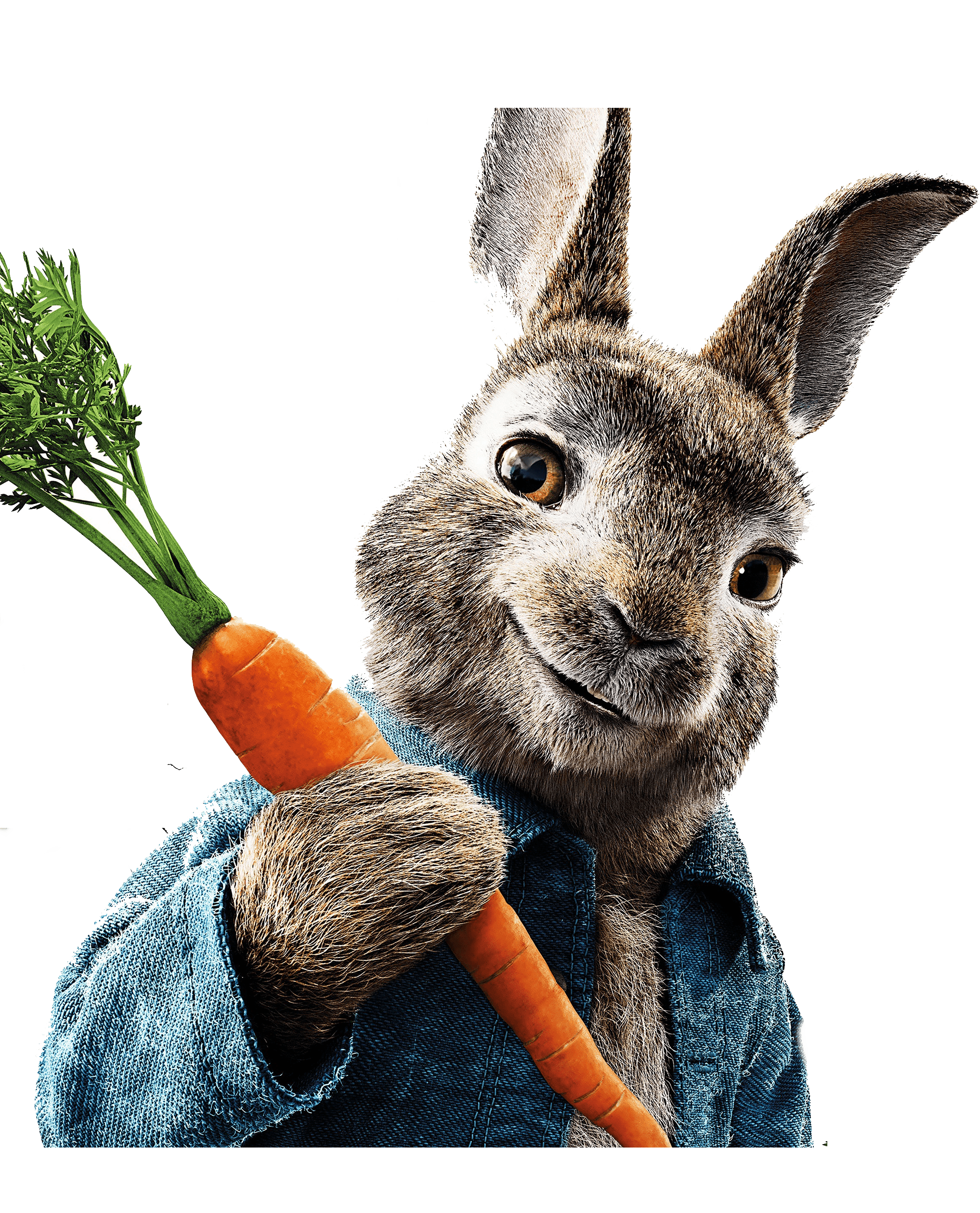 Раскраска Кролик Питер