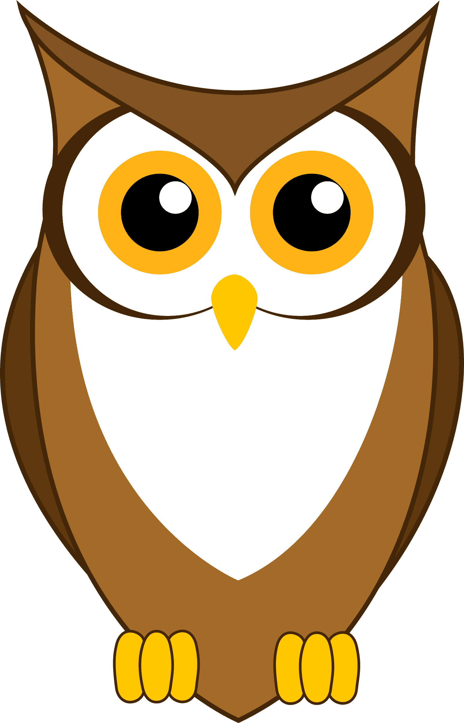 Раскраска Сова