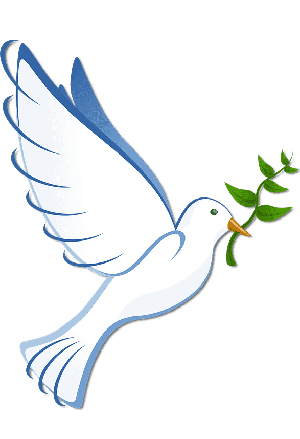 Раскраска Голубь