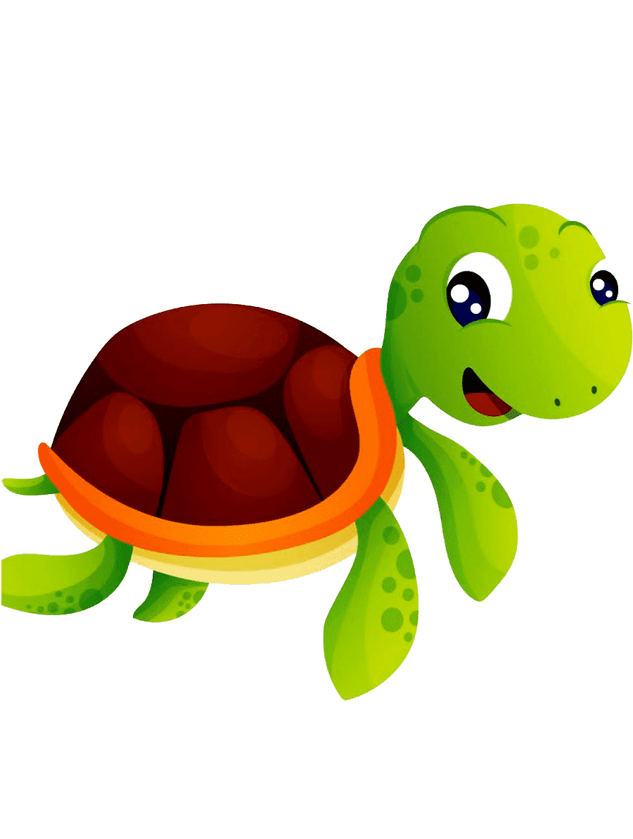 Раскраска Черепаха