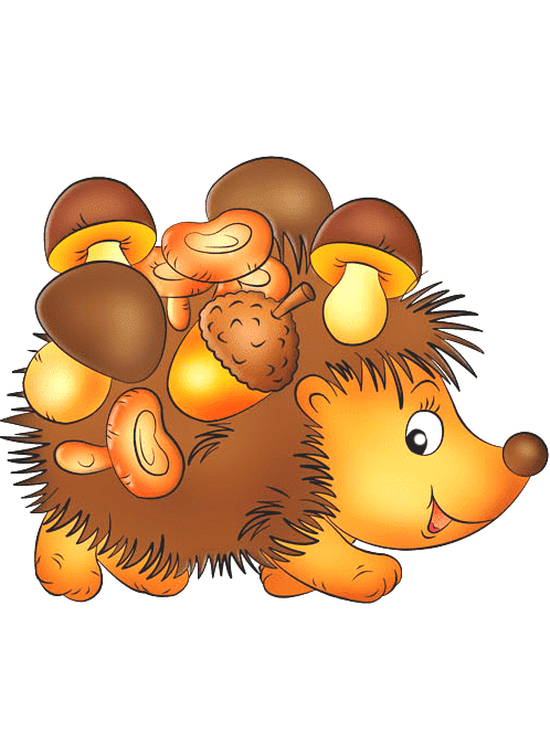 Раскраска Ежик