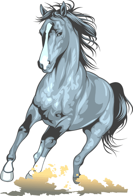 Раскраска Лошади