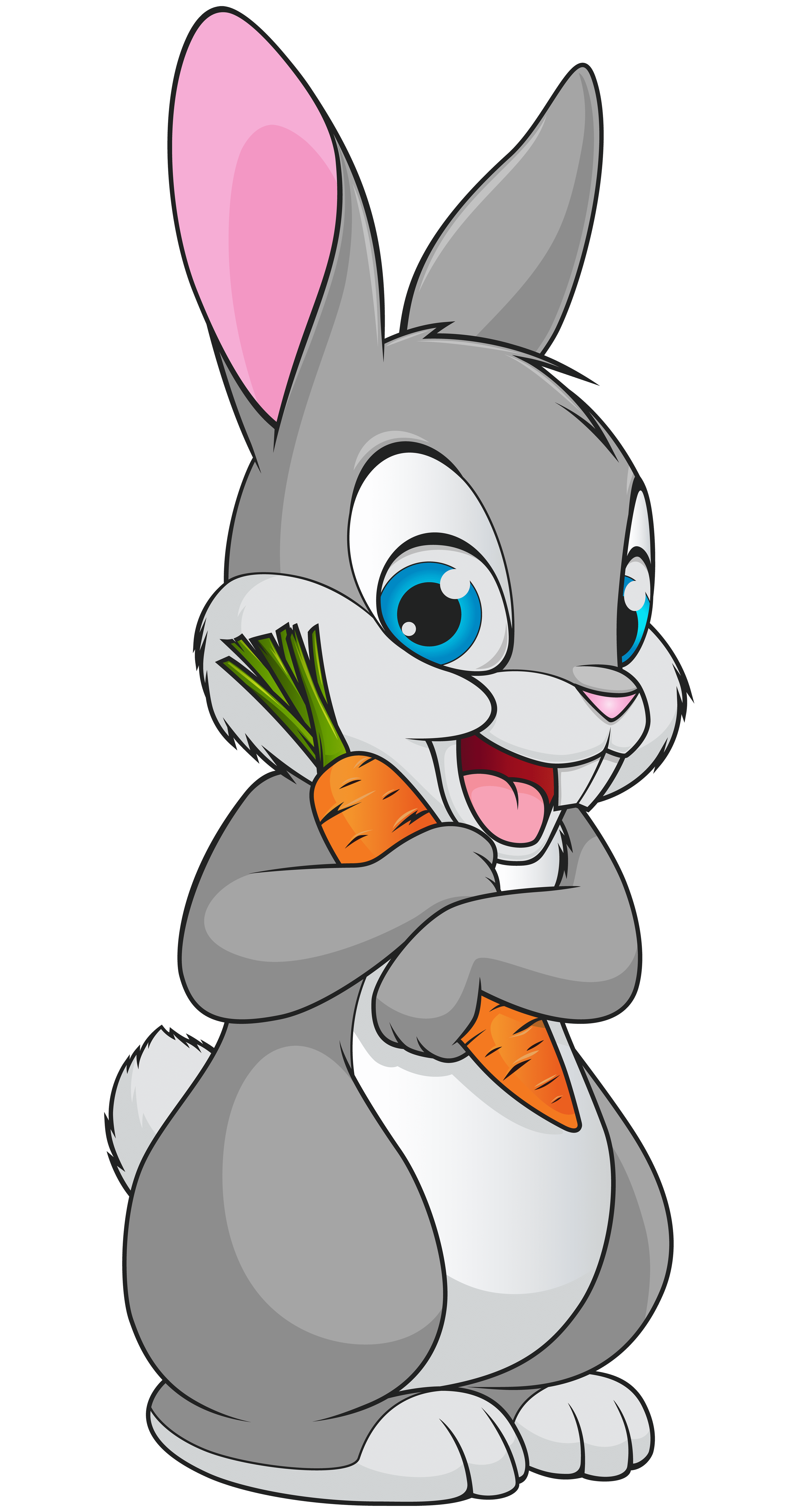 Раскраска Заяц