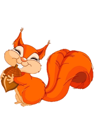 Раскраска Белка