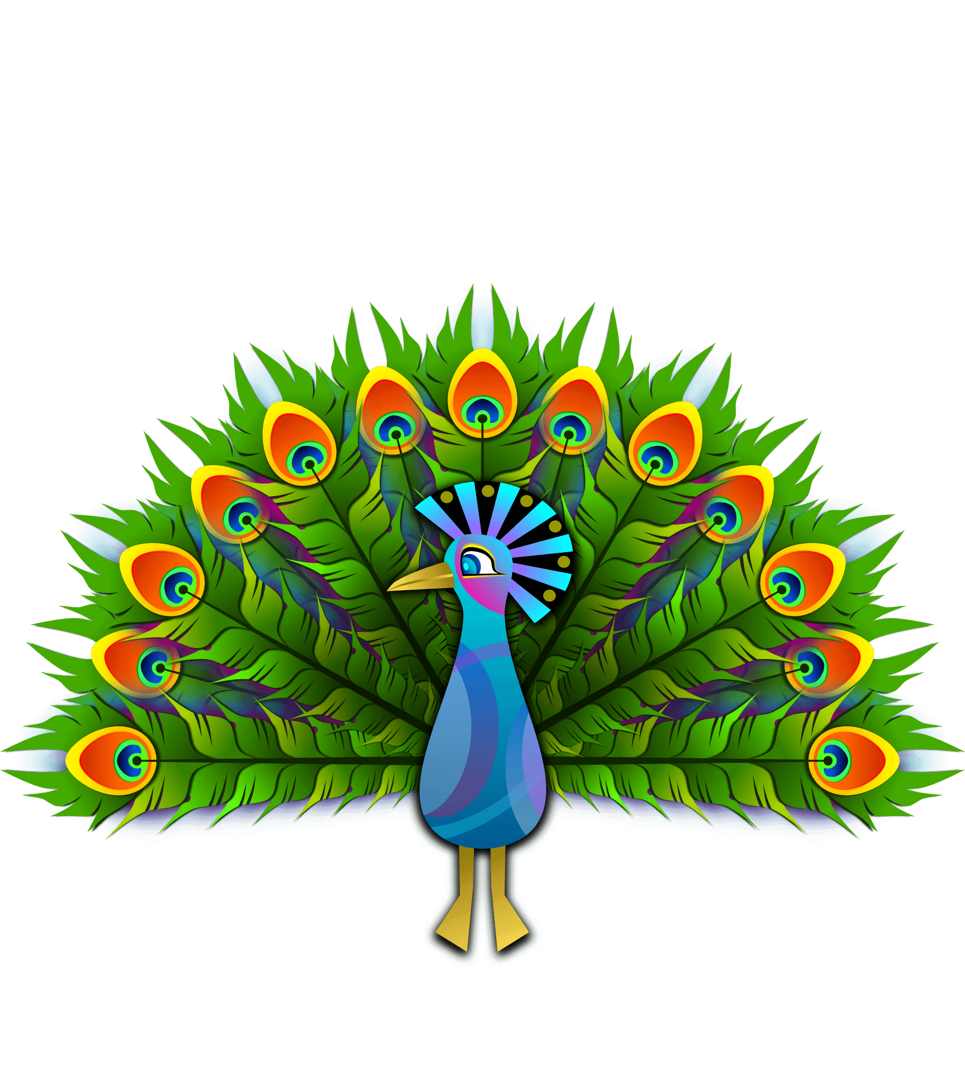 Раскраска Павлин