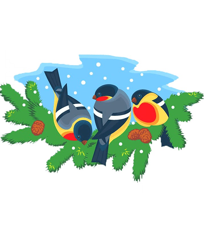 Раскраска Зимующие птицы