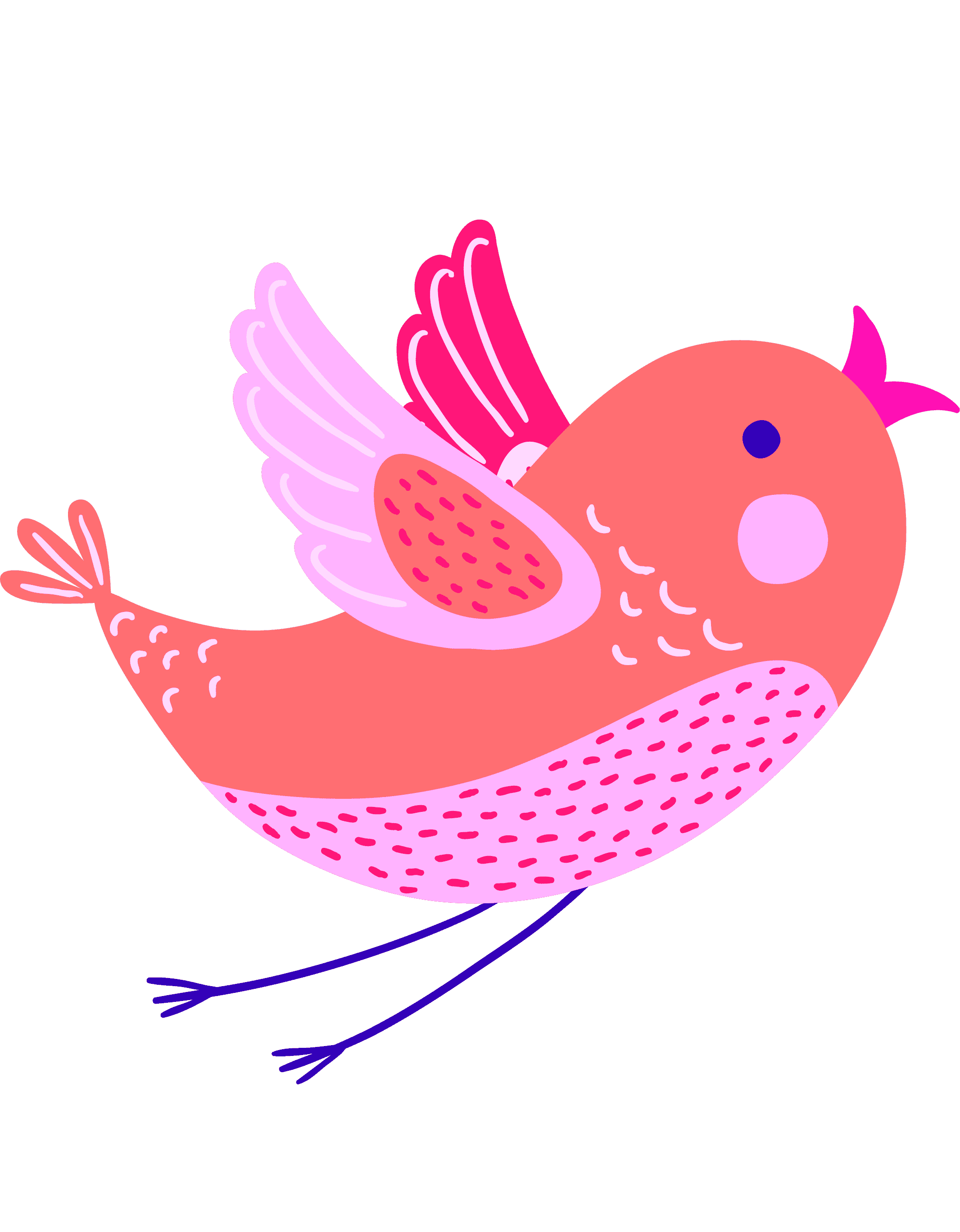 Раскраска Птицы