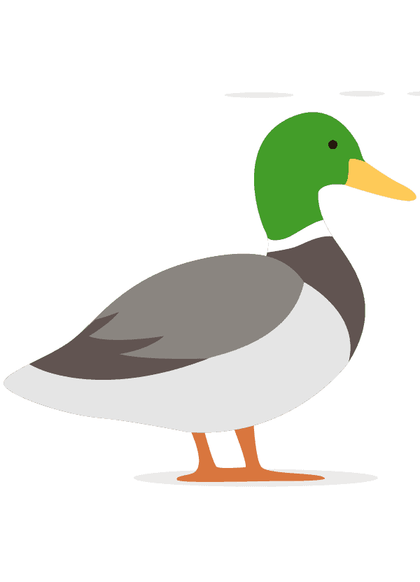 Раскраска Утка