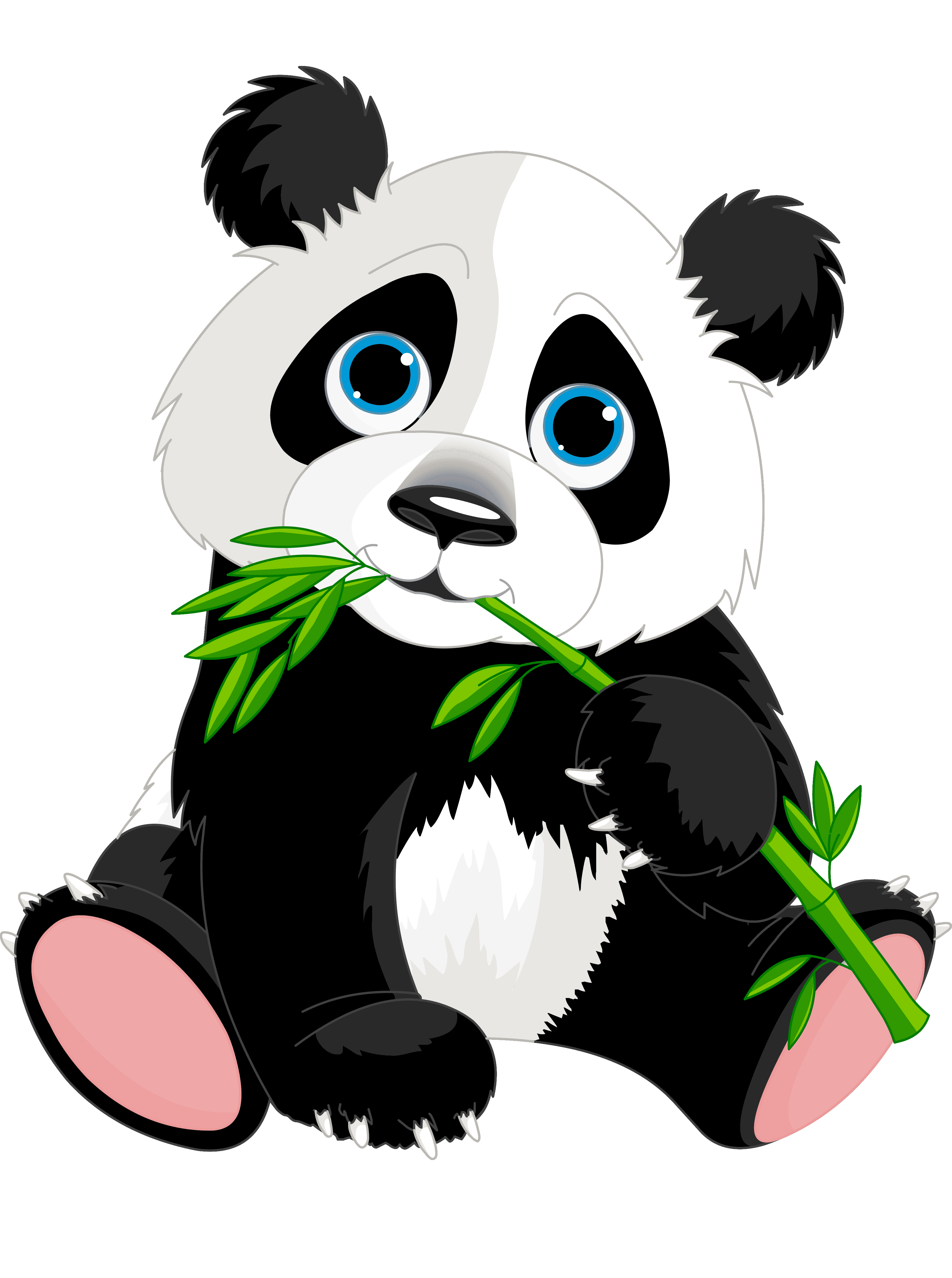 Раскраска Панда