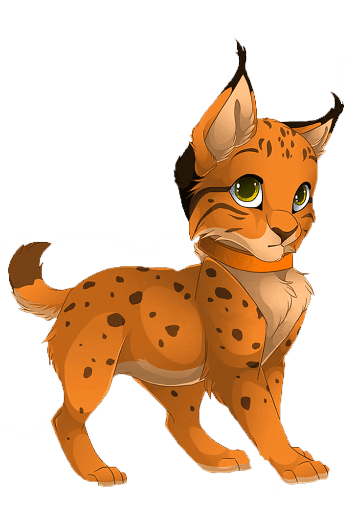 Раскраска Рысь