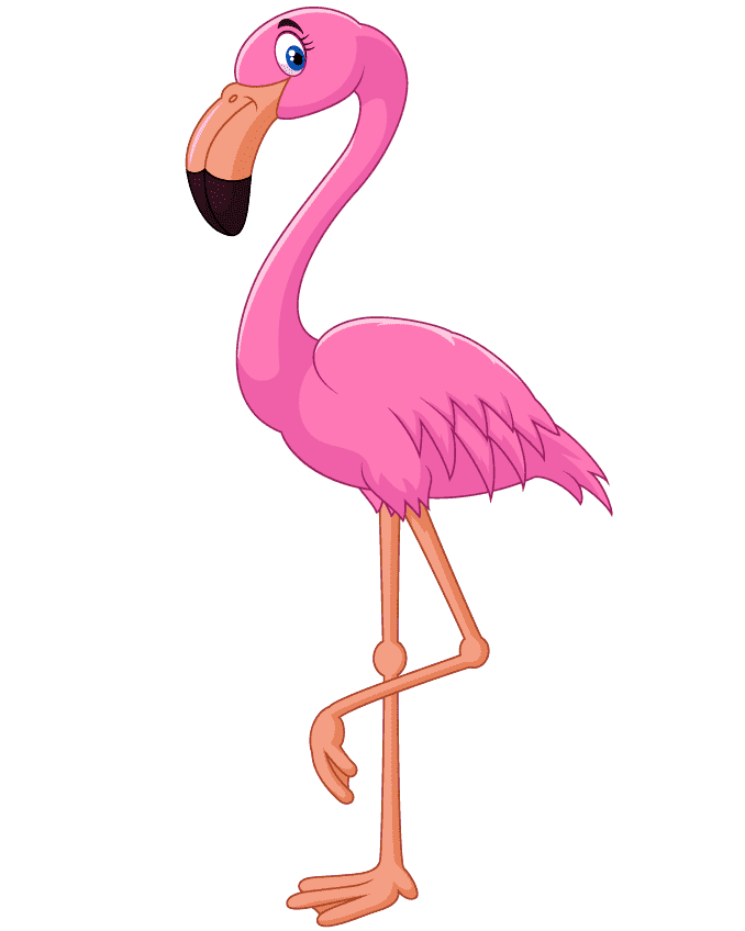 Раскраска Фламинго