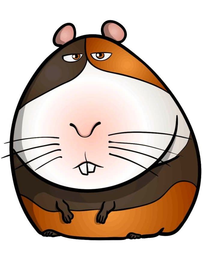 Раскраска Морская свинка