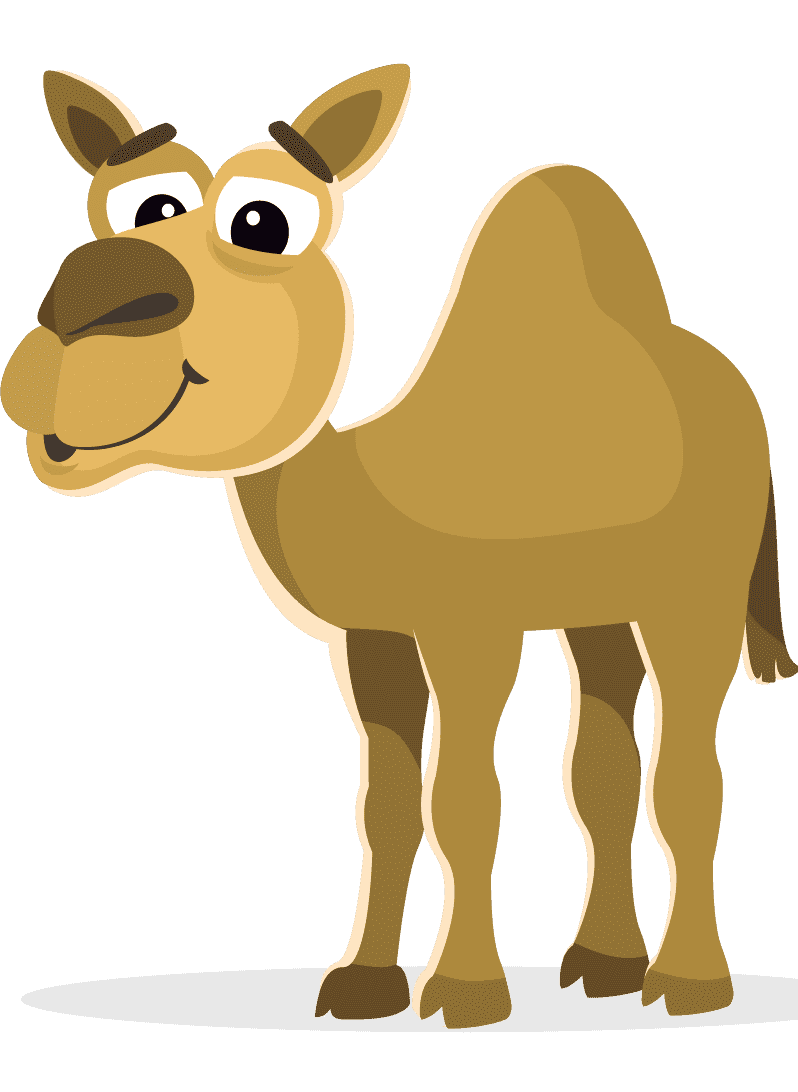 Раскраска Верблюд