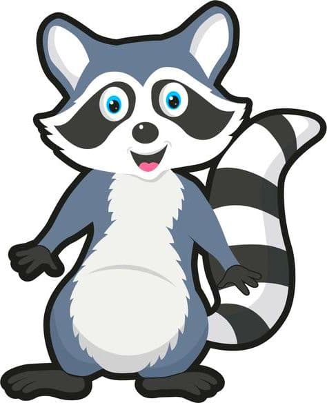 Раскраска Енот