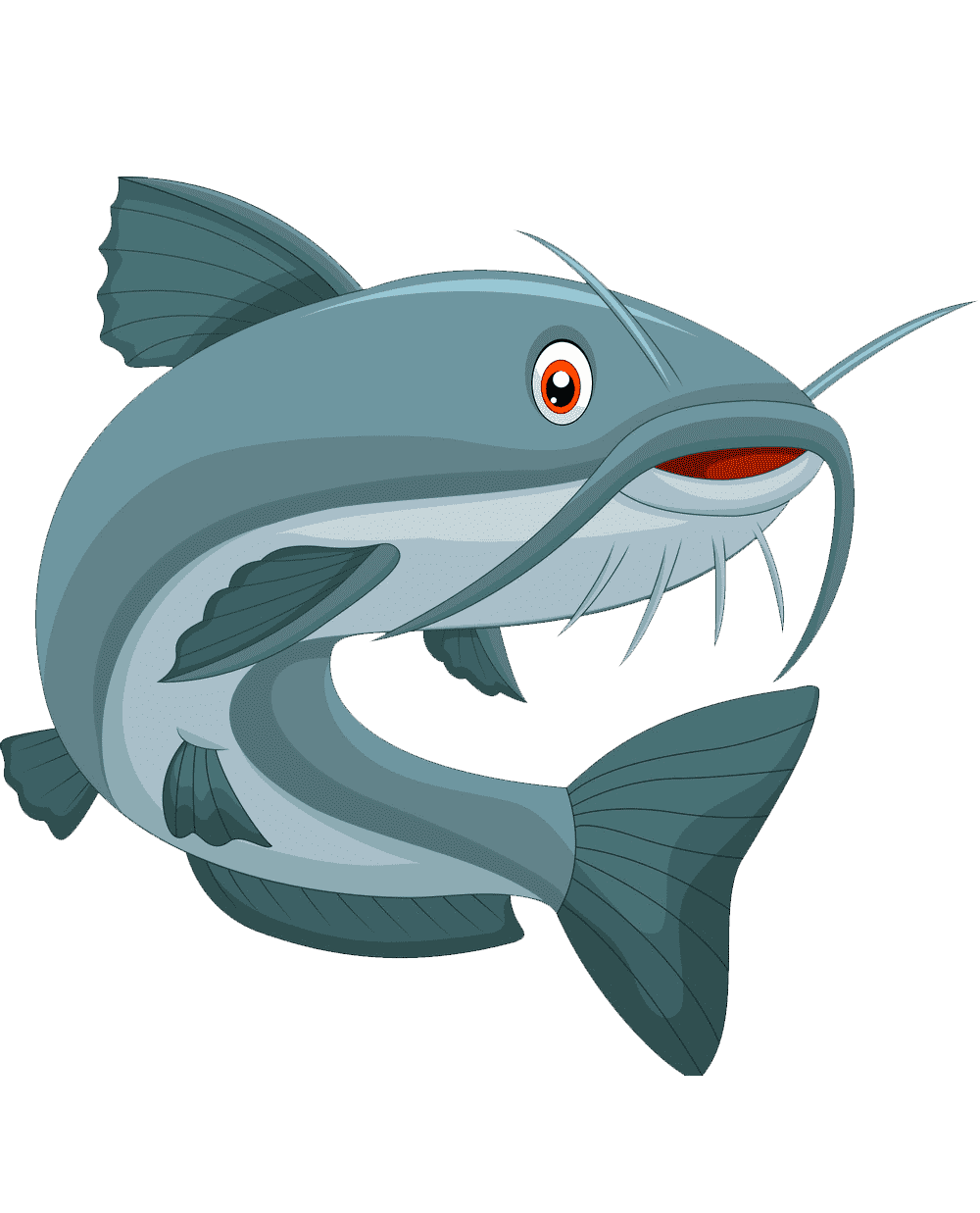 Раскраска Сом