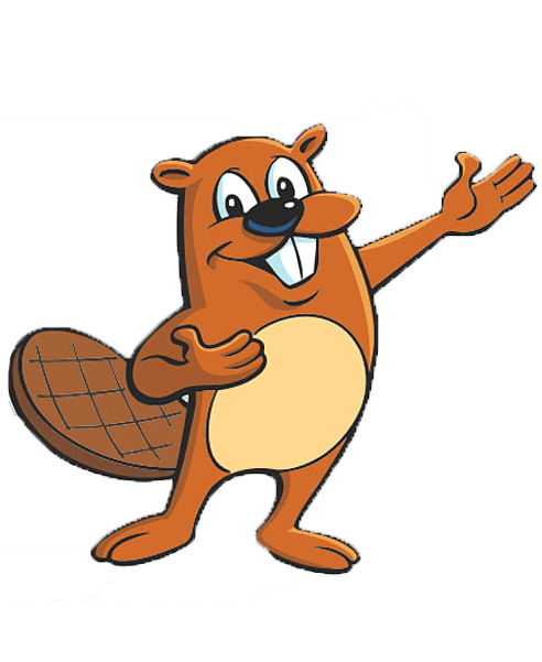 Раскраска Бобер