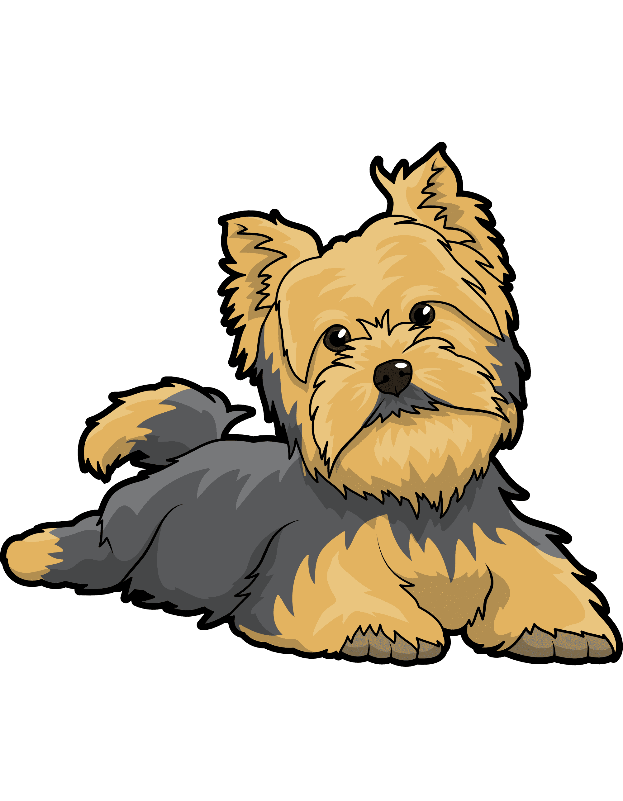 Раскраска Йорк