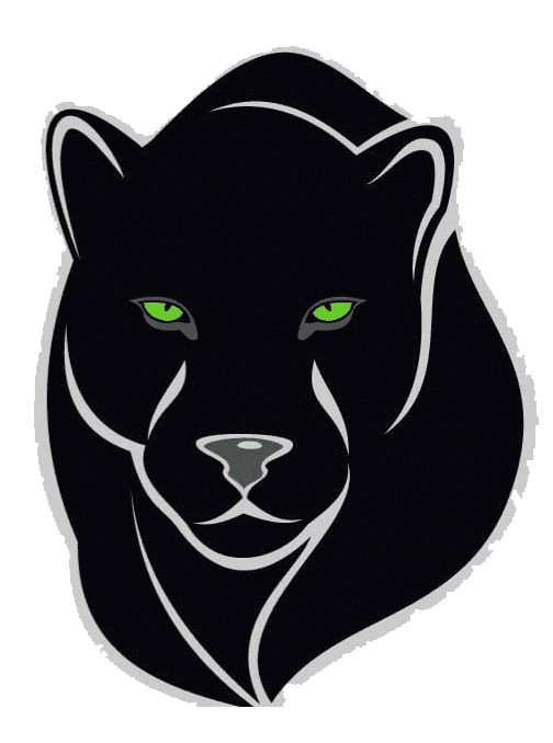 Раскраска Пума