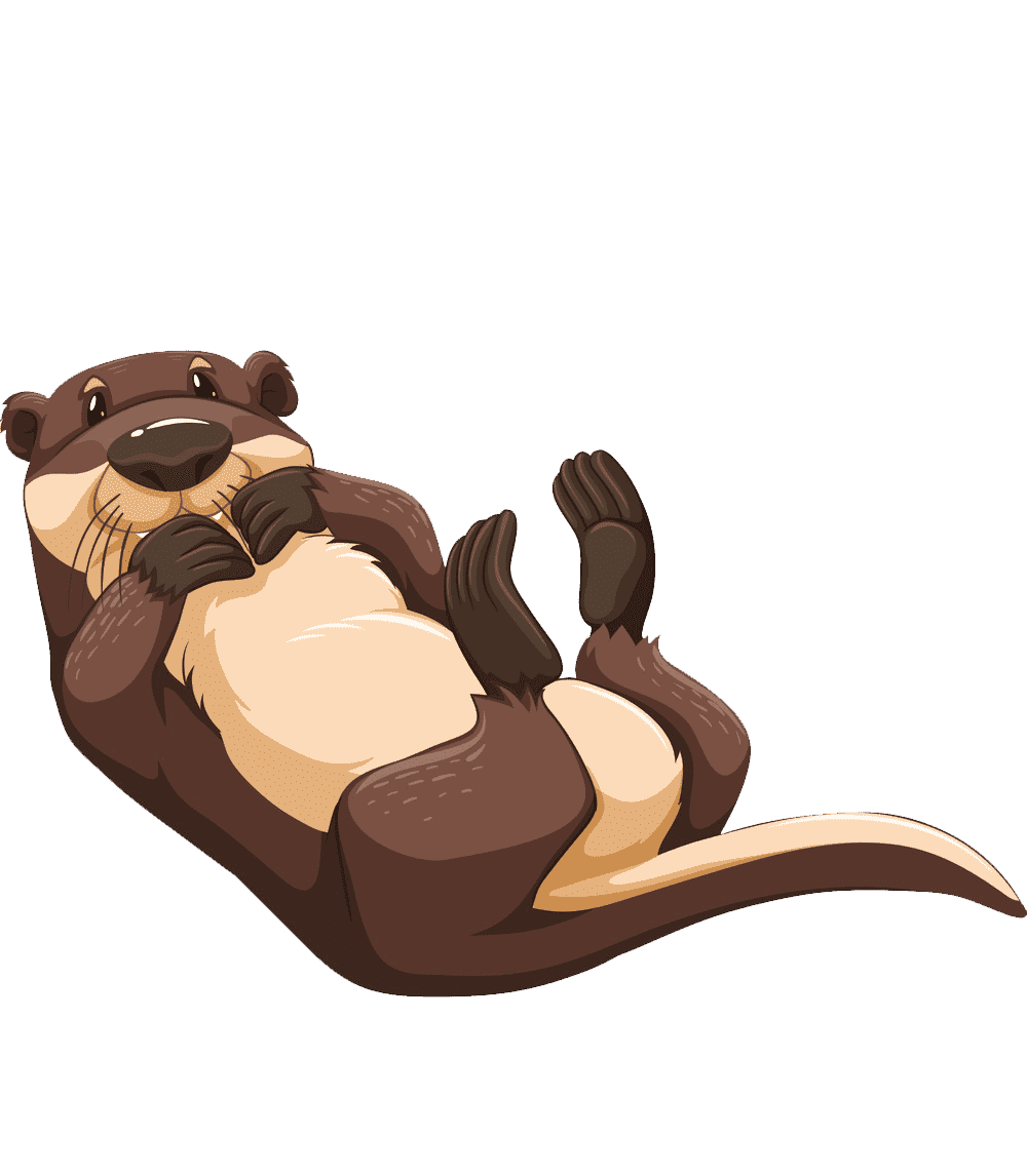 Раскраска Выдра