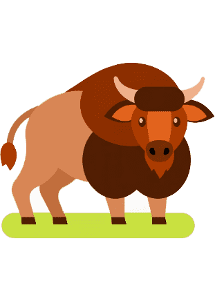 Раскраска Зубр