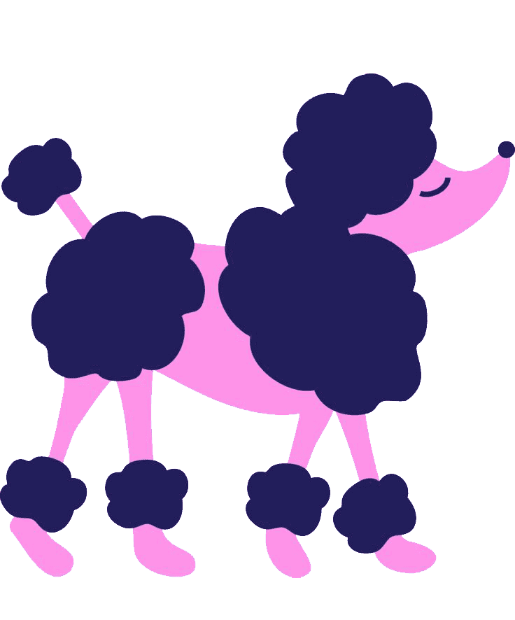 Раскраска Пудель