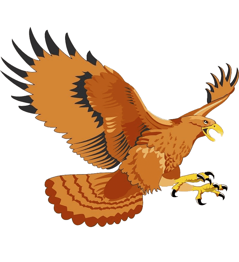 Раскраска Беркут