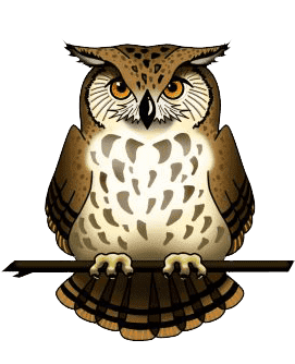 Раскраска Филин