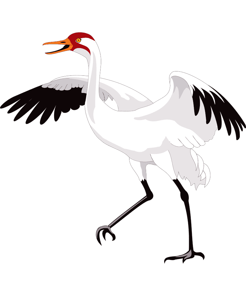 Раскраска Журавль