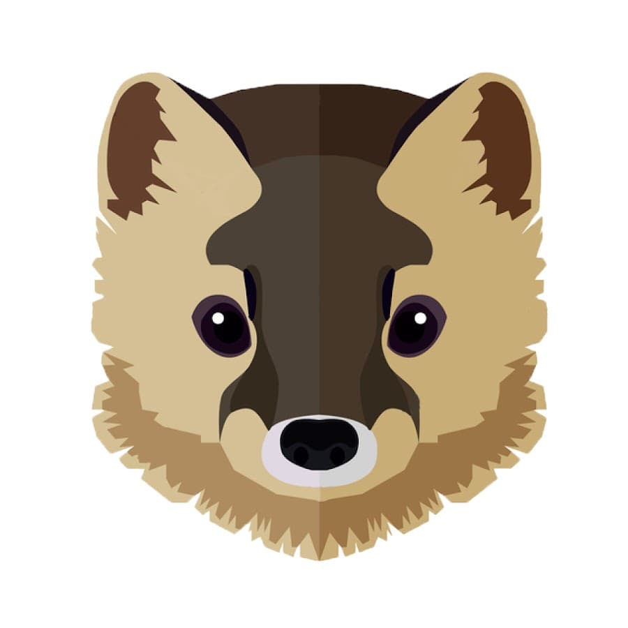 Раскраска Соболь