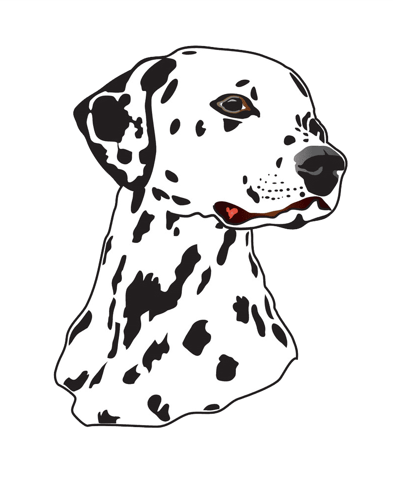 Раскраска Далматинец