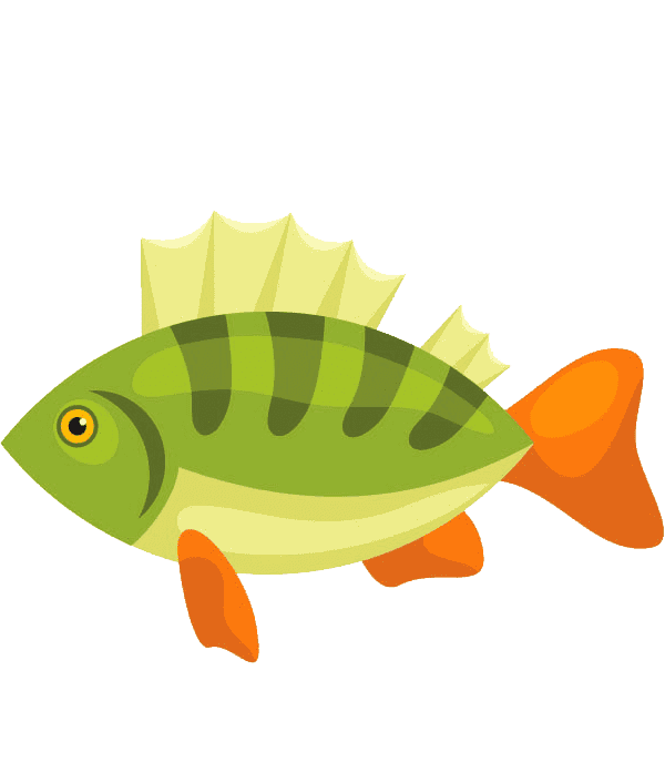 Раскраска окунь