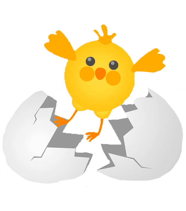 Раскраска Птенец