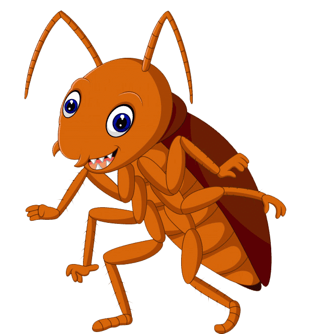 Раскраска таракан