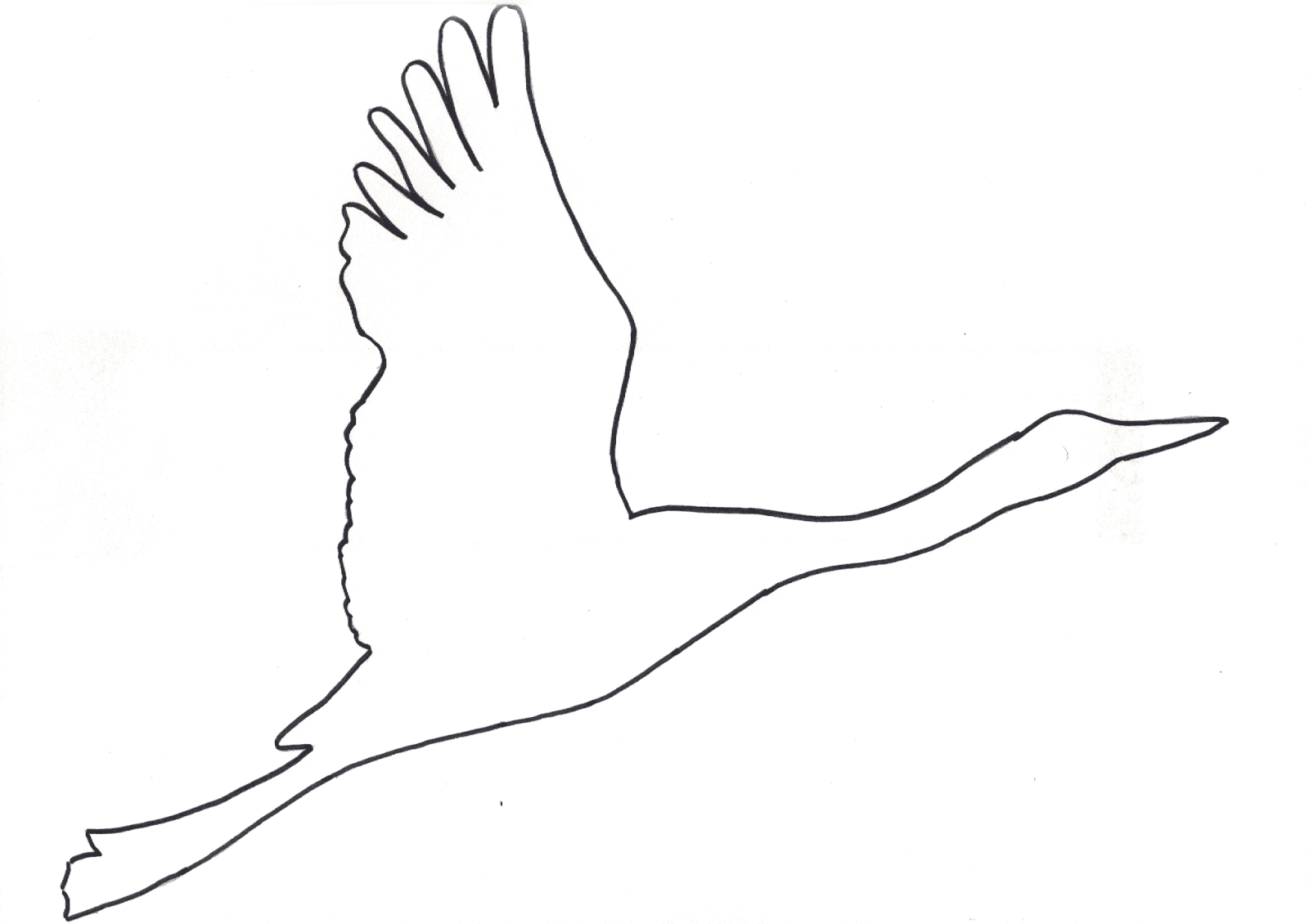 Трафарет и шаблон на окна