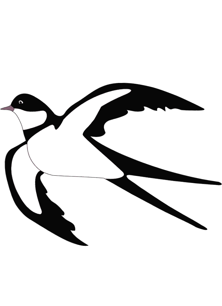 Раскраска Ласточка