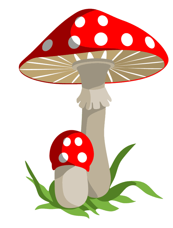 Раскраска Мухомор