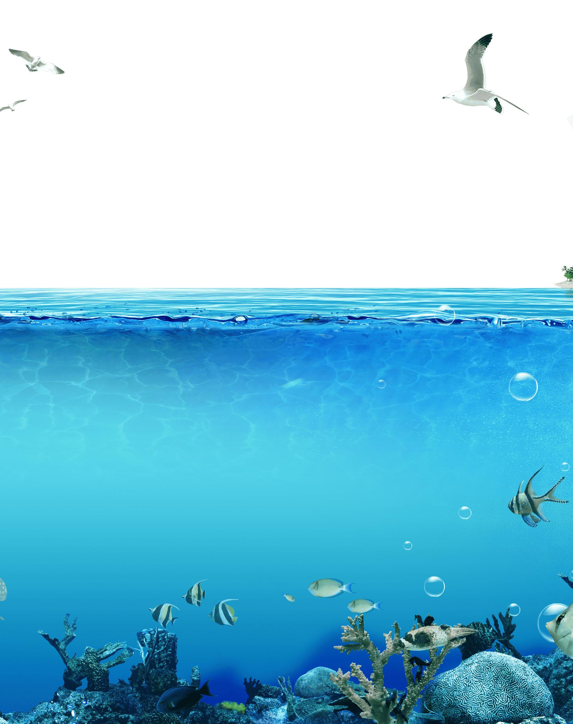 Раскраска Подводный мир