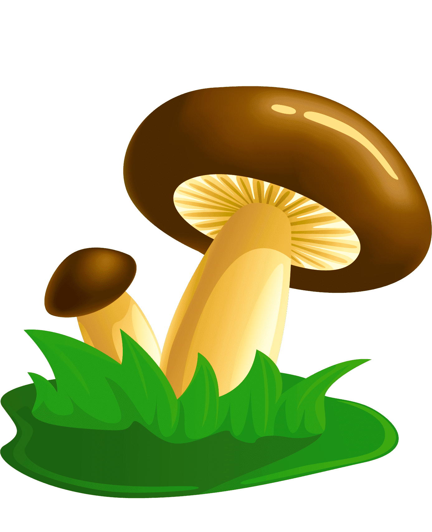 Раскраска Грибы